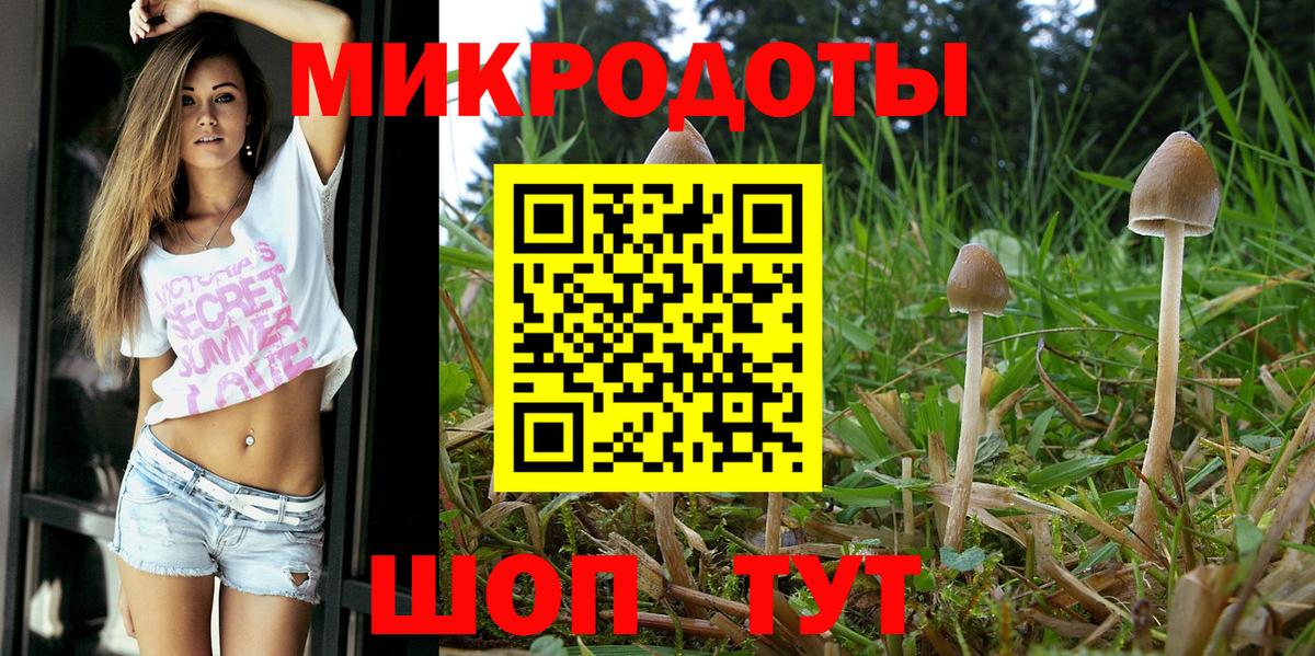Татарск  Галлюциногенные грибы прущие грибы  Вход с VPN  Псилоцибиновые грибы мицелий 